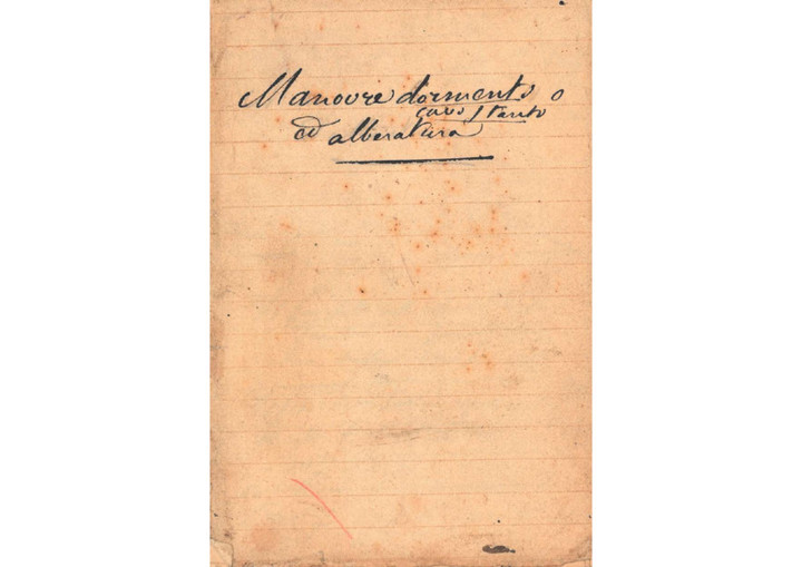 &quot;Manovre dormienti o di alberatura&quot;