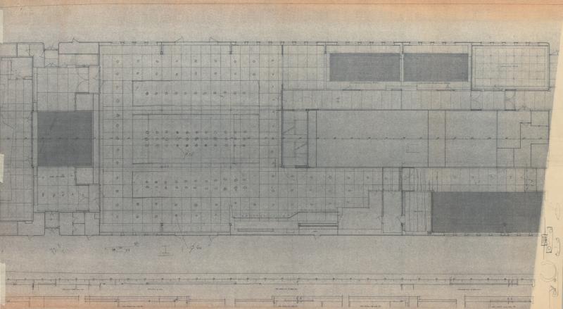 Eugenio Costa - Ponte dei saloni - Soffitto