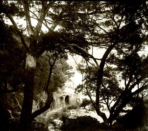 Rapallo. Casinò, giardino e pini (taglio)