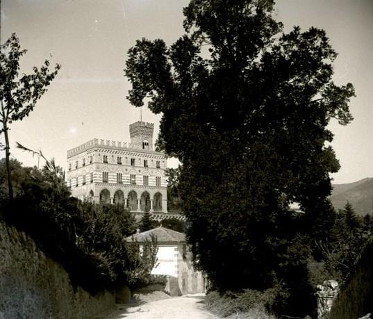 San Michele di Pagana. Castello e albero (taglio)