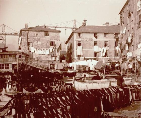 Foce. Reti distese (taglio)