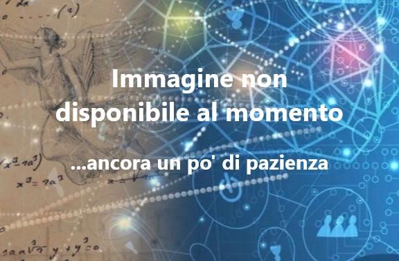 &quot;Lezioni di analisi infinitesimale&quot;