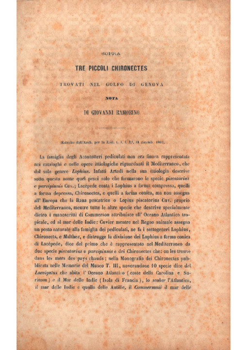&quot;Carte Ramorino - Gestro&quot;