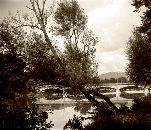 Chiavari. Entella. Ponte e albero abbattuto (taglio)