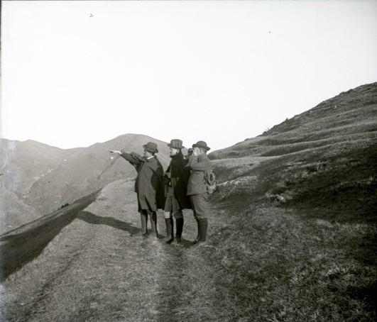 Monte Fasce. Sentiero (taglio)