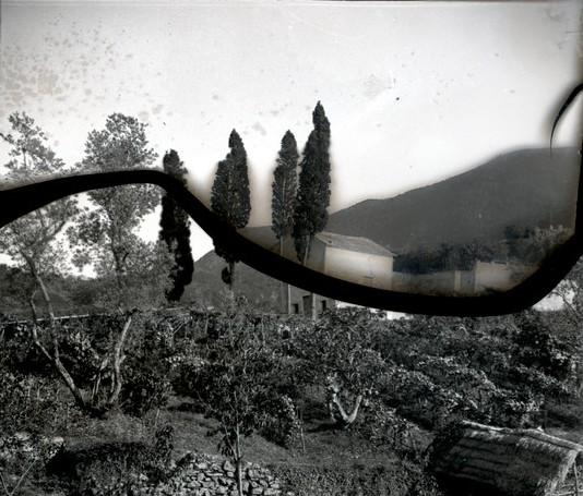 Serino