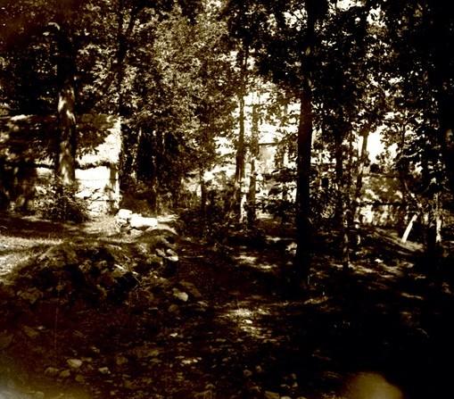 Ovada - bosco di Monterosato