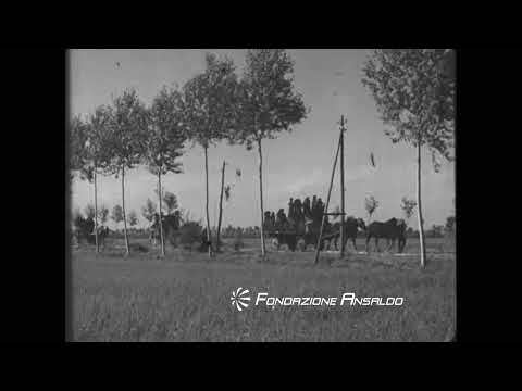 Noi mondine
