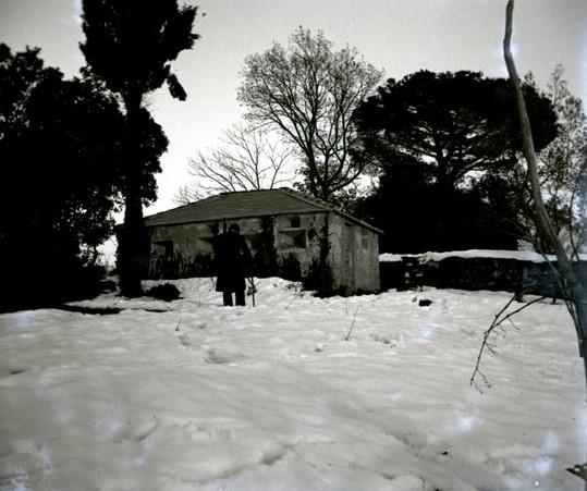 Serino sotto la neve - Uccelliera (taglio)