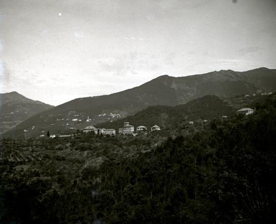 Panorama (taglio)