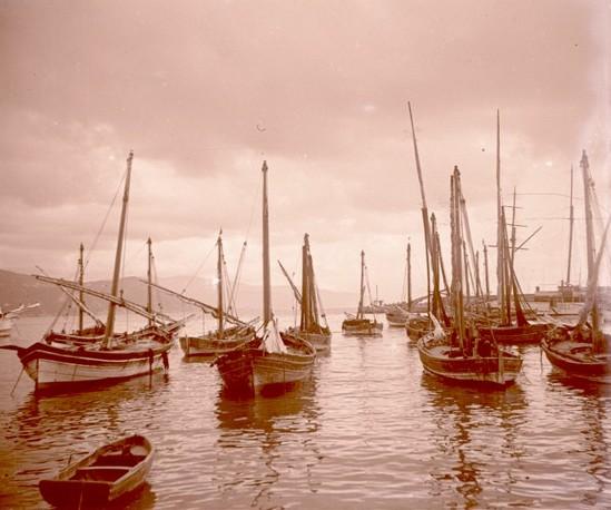 Santa Margherita. Paranze contro luce (taglio)