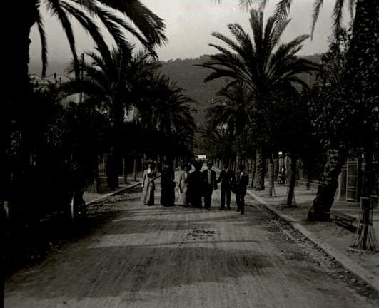 Nervi - viale delle palme