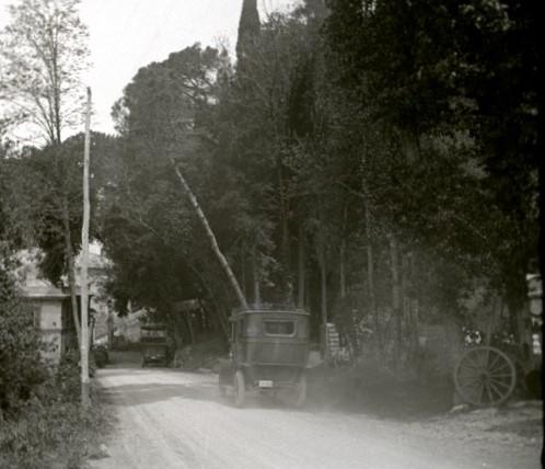 Parco del Portofino Kulm. Ingresso a Ruta (taglio)