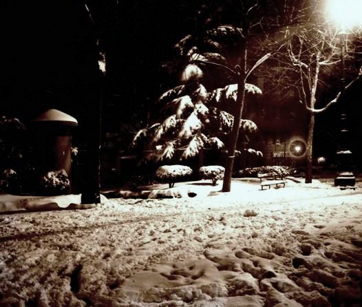 Piazza Savonarola di notte. Nevicata (taglio)