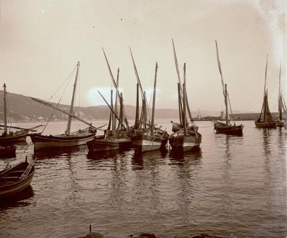 Santa Margherita. Barche a vela in porto (taglio)