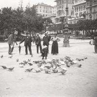 Piazza Corvetto. Piccioni. Sig. Santamaria (taglio)