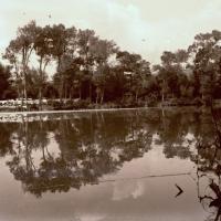Chiavari. Entella. Specchio d'acqua (taglio)