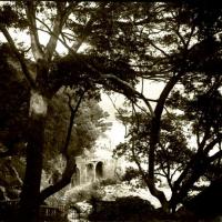 Rapallo. Casinò, giardino e pini (taglio)