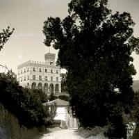 San Michele di Pagana. Castello e albero (taglio)