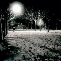 Corso Torino di notte. Nevicata (taglio)