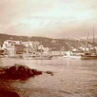 Santa Margherita. Paranze e scogli (taglio)