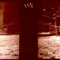Via Casaregis (osteria). Nevicata notturna (originale)