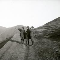 Monte Fasce. Sentiero (taglio)
