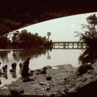 Chiavari. Entella. Sotto il ponte (taglio)