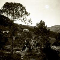 Gita a N. S. della Guardia. Pineta - Stefano e Laver (taglio)