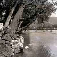 Chiavari. Entella. Alberi, ponte di legno e lavandaie (taglio)