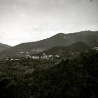 Panorama (taglio)