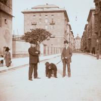 Via G. T. Invrea. Sig. Santamaria e Lorenzo (taglio)