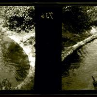Lion nel Lago, fuori acqua (originale)
