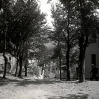 Gita alla Vittoria. Piazza e viale (taglio)