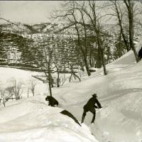 Molini. Battaglia nella neve (taglio)