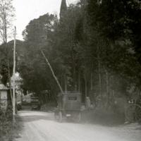 Parco del Portofino Kulm. Ingresso a Ruta (taglio)