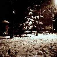 Piazza Savonarola di notte. Nevicata (taglio)