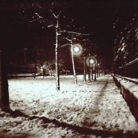 Via Casaregis (sotto gli alberi). Nevicata (taglio)